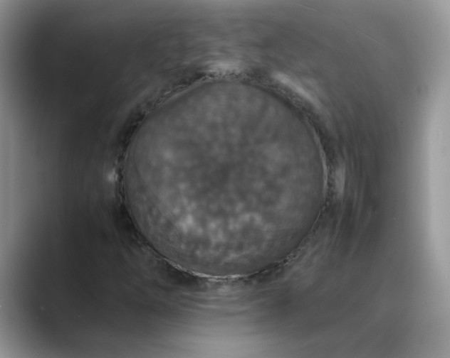 X0000089671254200707051542