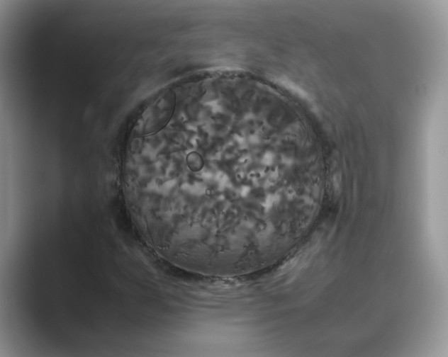X0000089671255200707051542