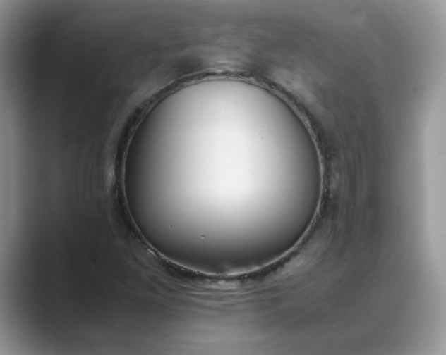 X0000089671261200707051542