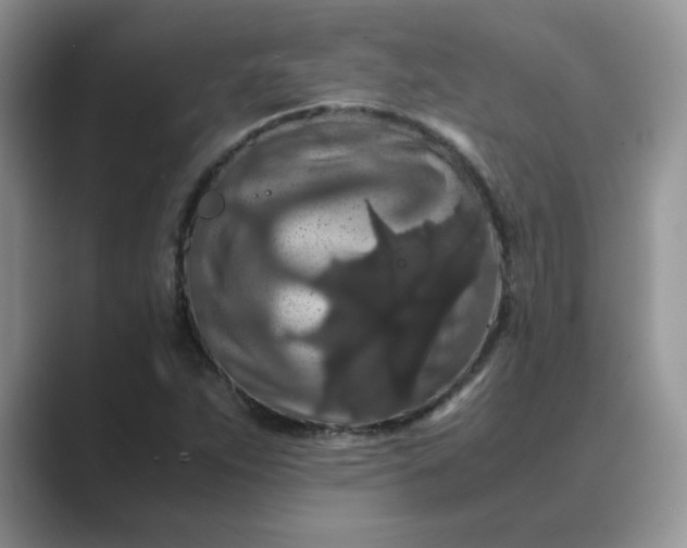 X0000089671263200707051542
