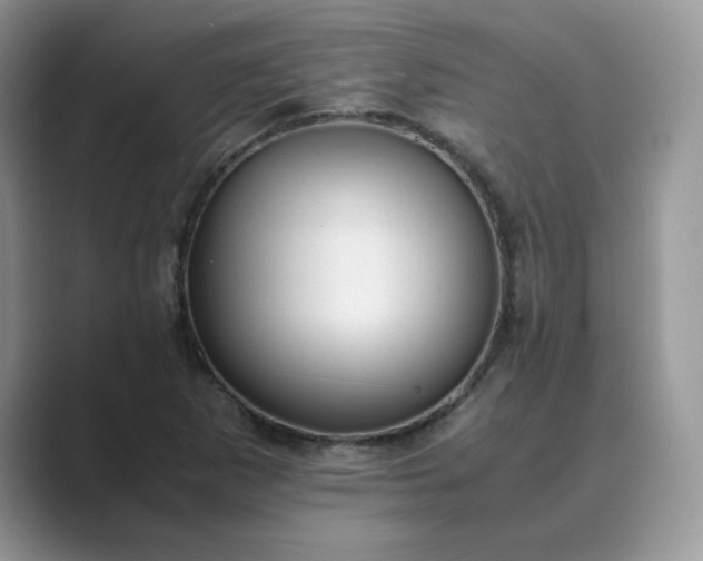 X0000089671265200707051542