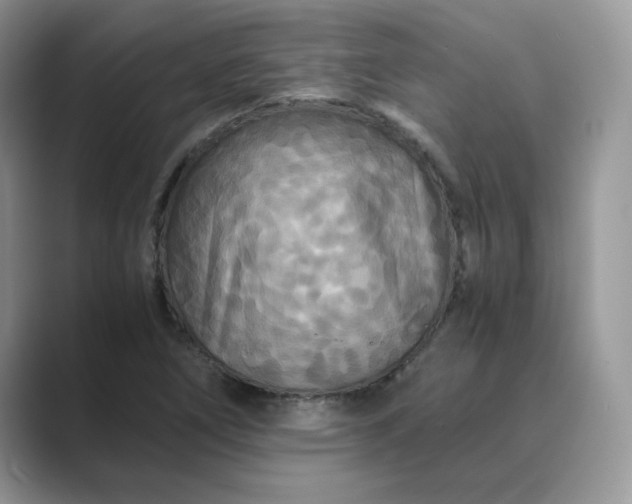 X0000089671266200707051542