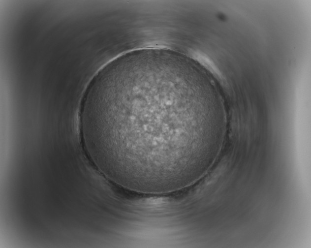X0000089671268200707051542