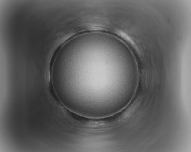 X0000089671269200707051542