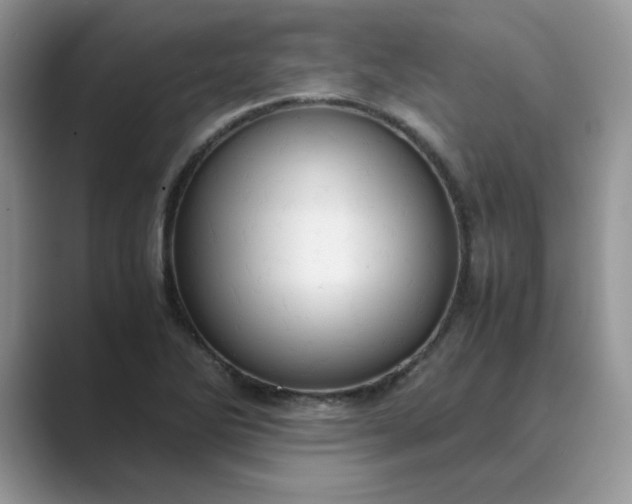 X0000089671270200707051542