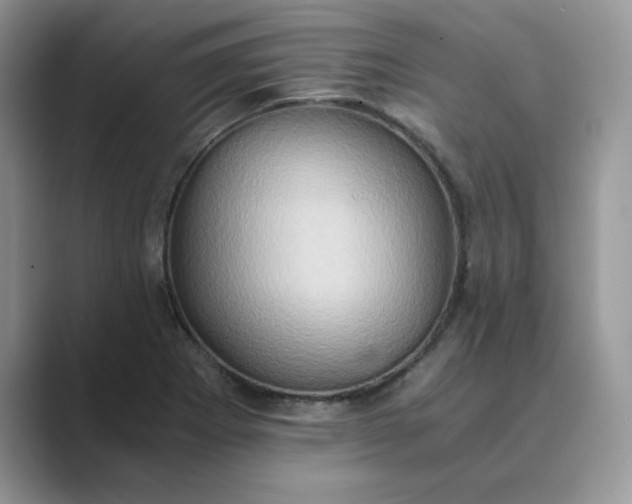 X0000089671273200707051542