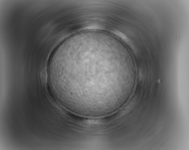 X0000089671274200707051542