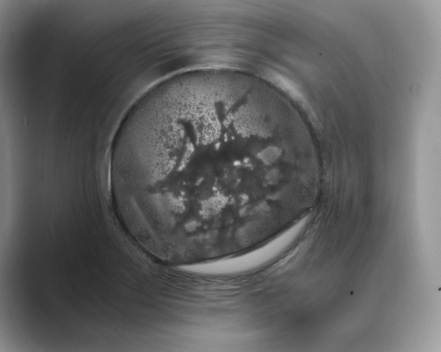 X0000089671275200707051542