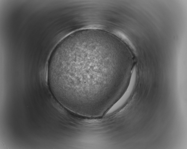 X0000089671276200707051541