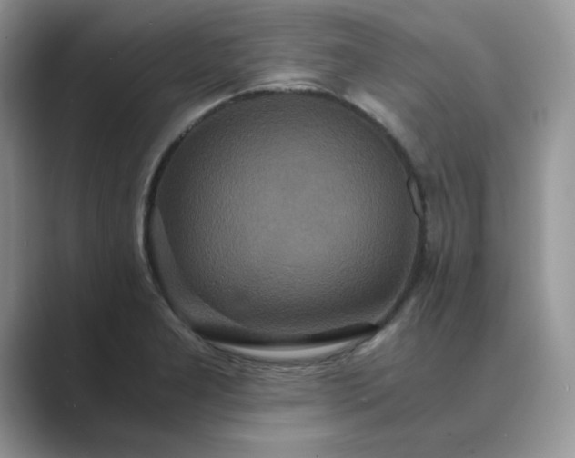 X0000089671277200707051541