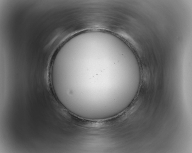 X0000089671278200707051541