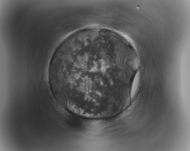 X0000089671279200707051541