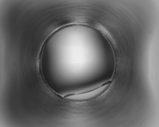 X0000089671284200707051541
