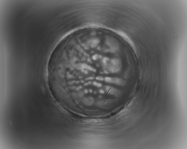 X0000089671287200707051541