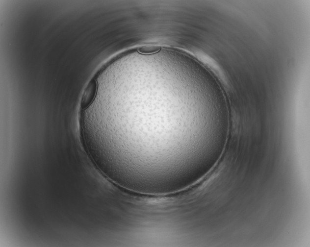 X0000089671288200707051541