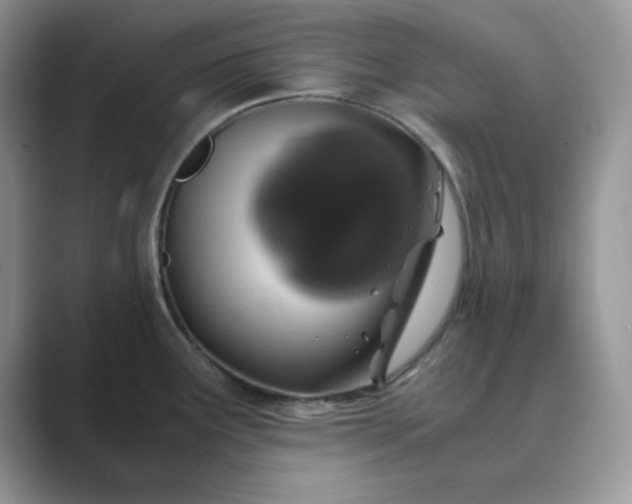 X0000089671291200707051541