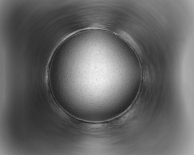 X0000089671292200707051541