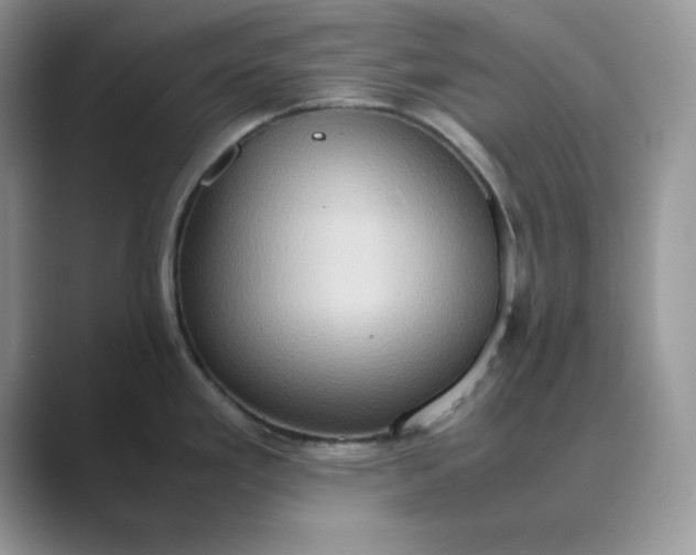 X0000089671293200707051541