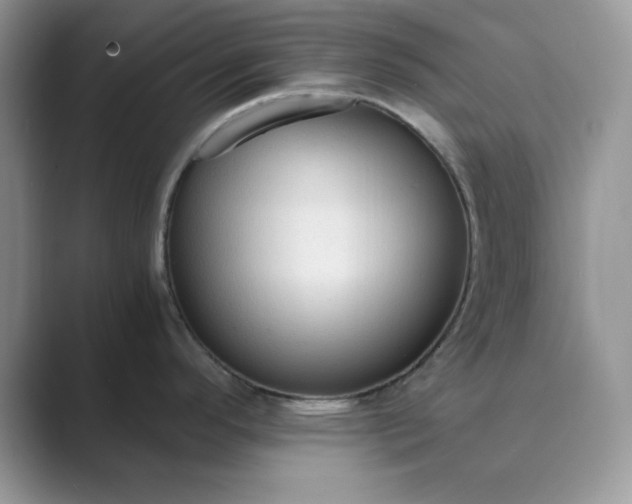 X0000089671296200707051541