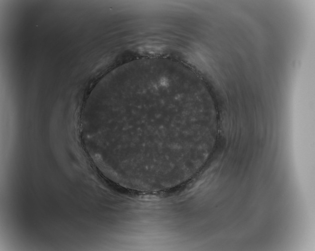 X0000089671297200707051541