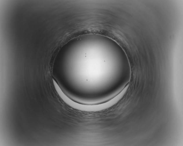 X0000089671298200707051541