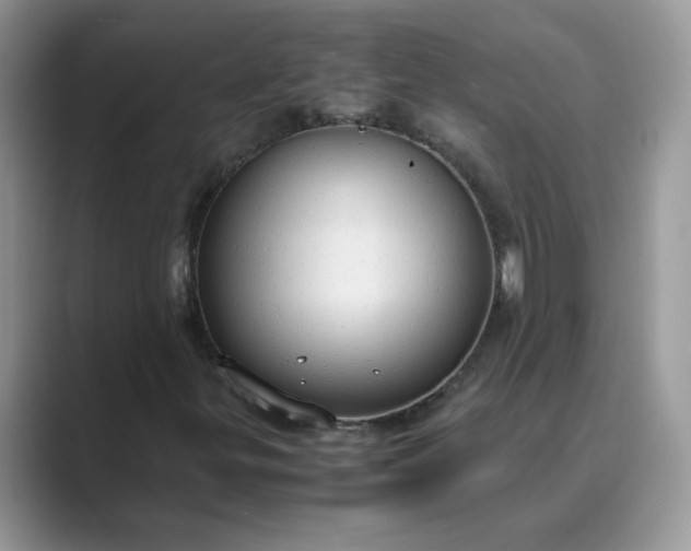 X0000089671299200707051541