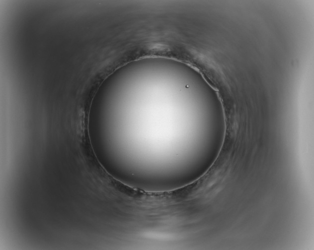 X0000089671301200707051541