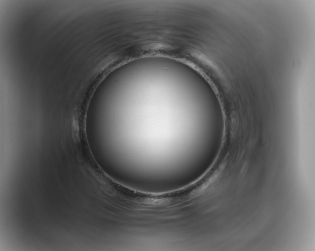 X0000089671305200707051541