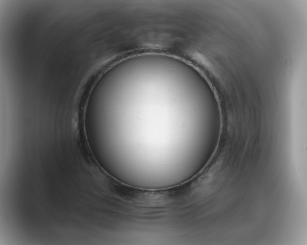 X0000089671307200707051541