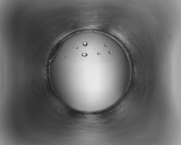 X0000089671308200707051541