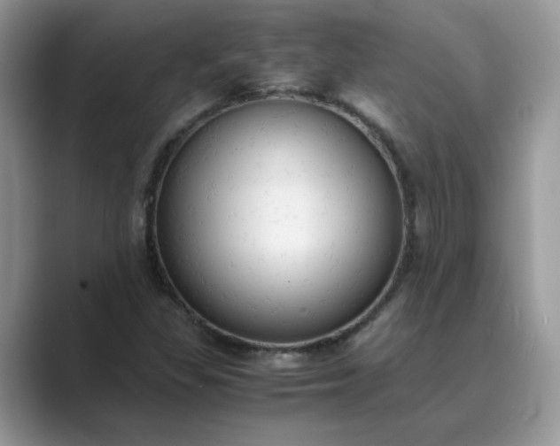X0000089671309200707051541