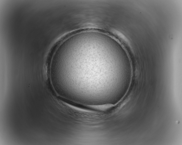 X0000089671310200707051541