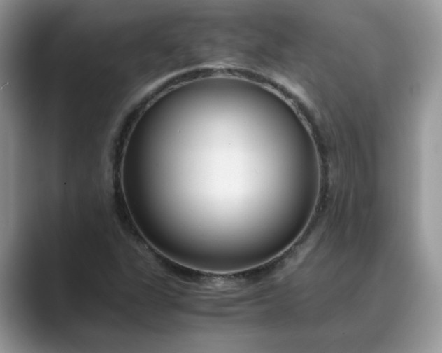 X0000089671311200707051541
