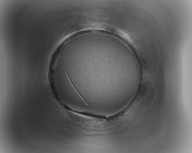 X0000089671312200707051541