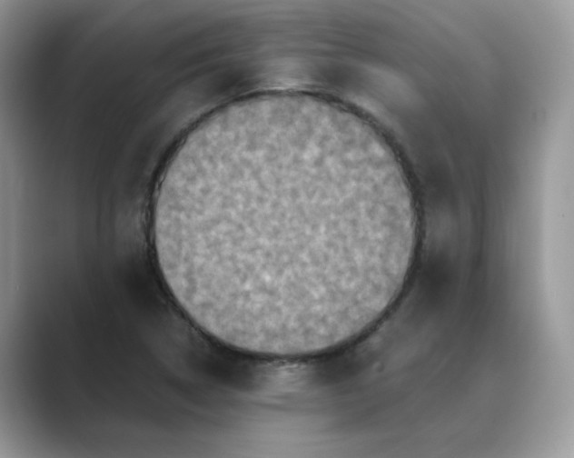 X0000089671314200707051541