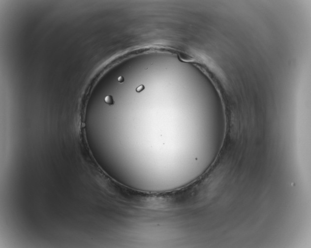 X0000089671316200707051541