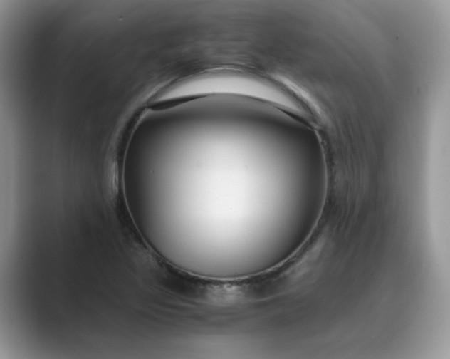 X0000089671317200707051541