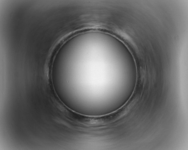 X0000089671318200707051541