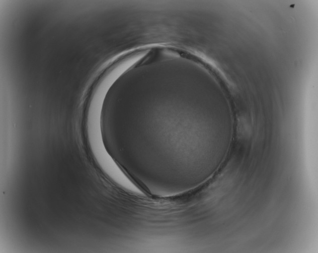 X0000089671319200707051541