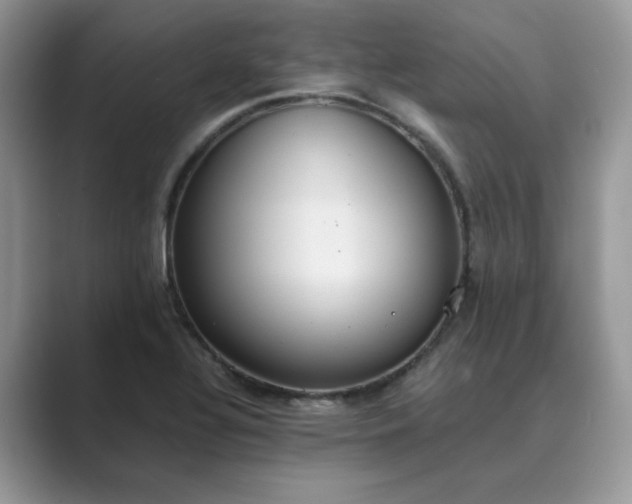 X0000089671320200707051541