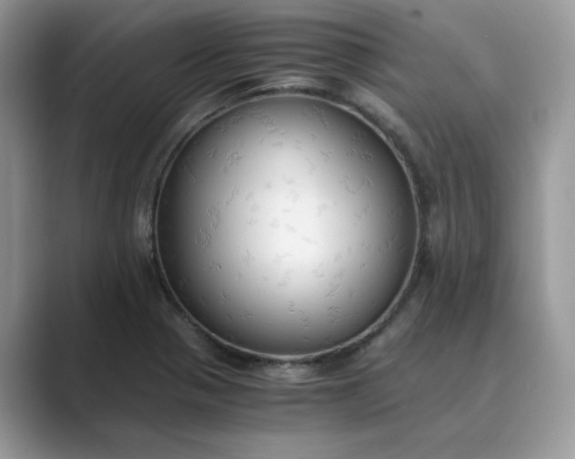 X0000089671321200707051541