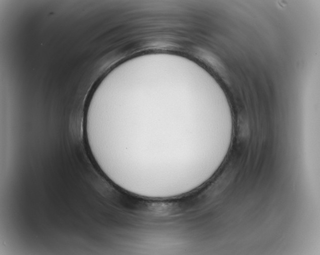 X0000089671322200707051541