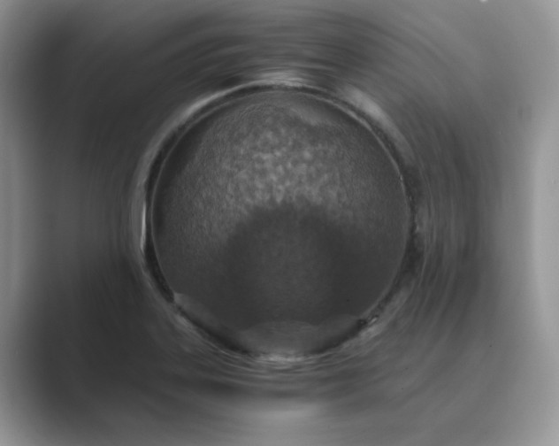 X0000089671323200707051541