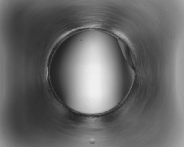 X0000089671324200707051541