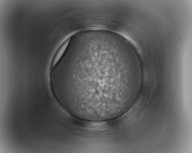 X0000089671325200707051541