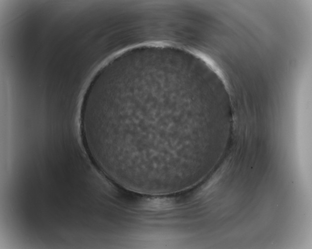 X0000089671327200707051541