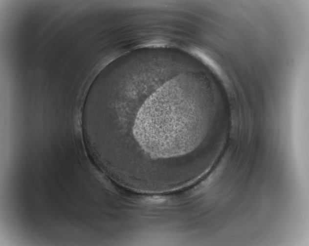 X0000089671329200707051541