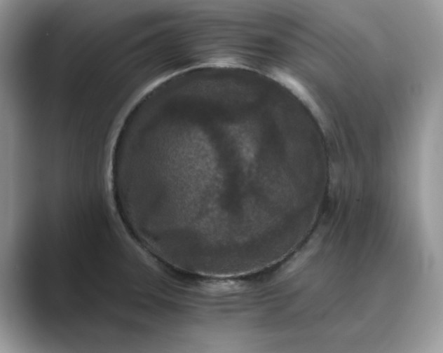 X0000089671331200707051541