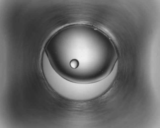 X0000089671332200707051541