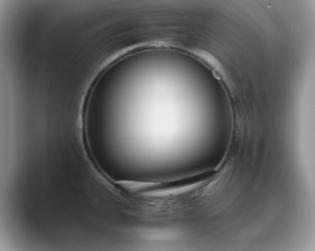 X0000089671335200707051541